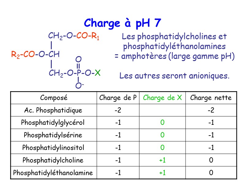 Les phosphatidylcholines et phosphatidyléthanolamines  = amphotères (large gamme pH)  Les autres seront